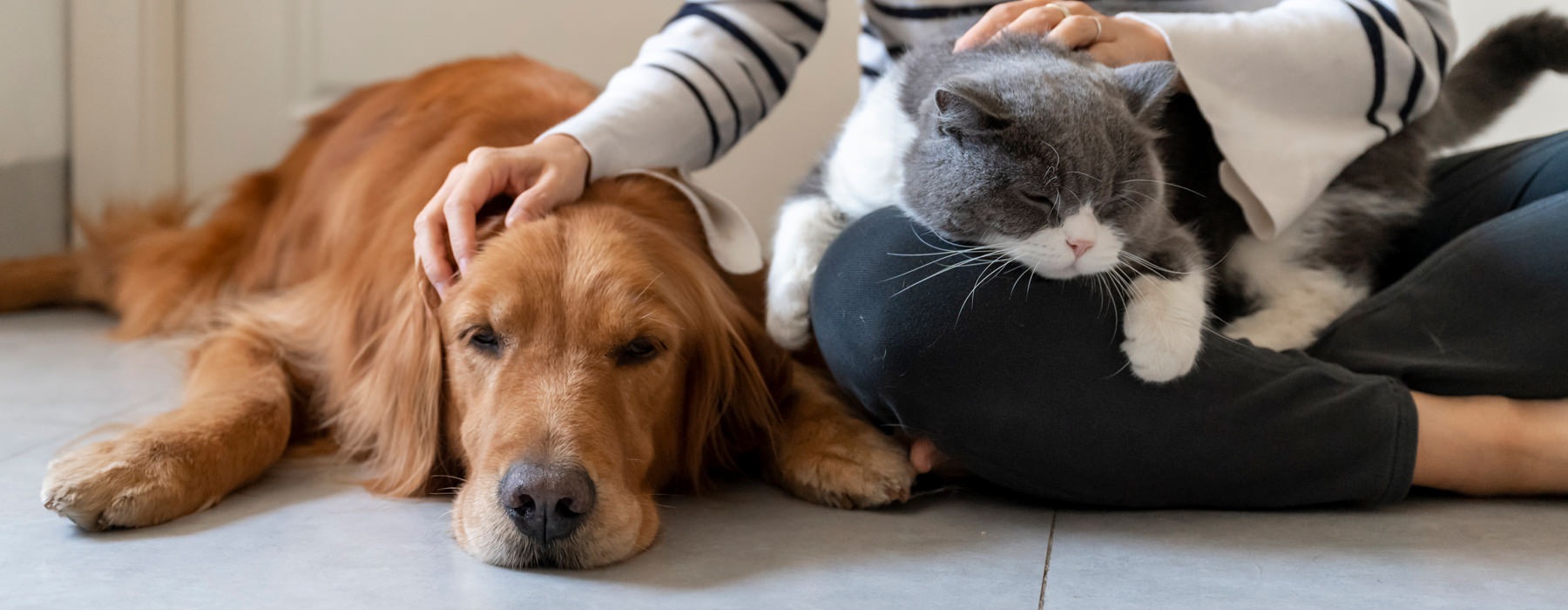 a woman with her pet dog and cat